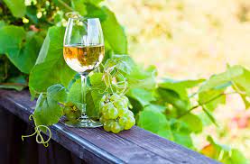 Looking For Best Tasty White Wine At Your Place